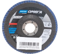 Диск лепестковый конический Омега R828 (125x22 мм; P80) NORTON 004956