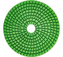 Диск алмазный полировальный на липучке (125 мм; K100) GRAPHITE 57H851
