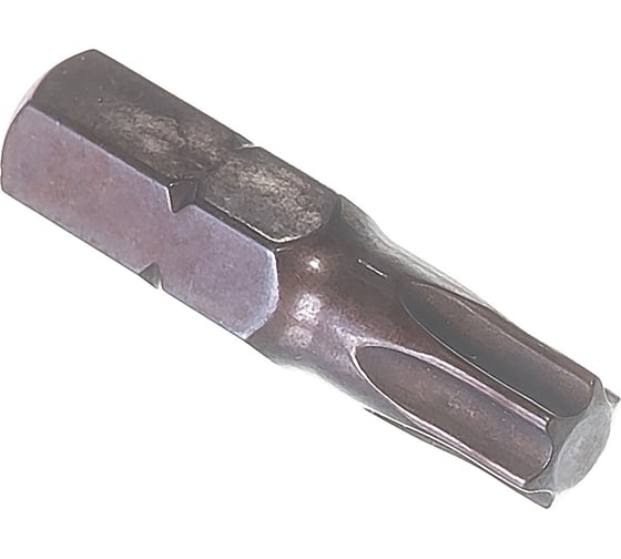Бита (2 шт; 25 мм; T30; S2) Mr. Logo A025T30-2