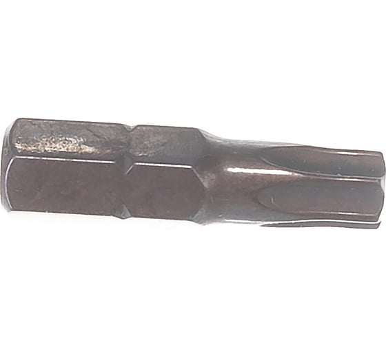 Бита (2 шт; 25 мм; T30; S2) Mr. Logo A025T30-2