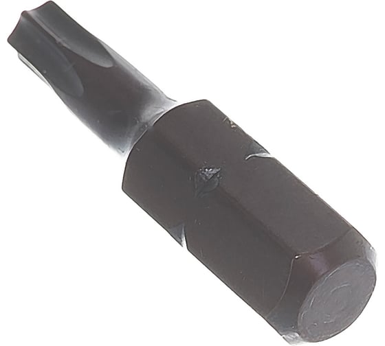 Бита (2 шт; 25 мм; T20; S2) Mr. Logo A025T20-2