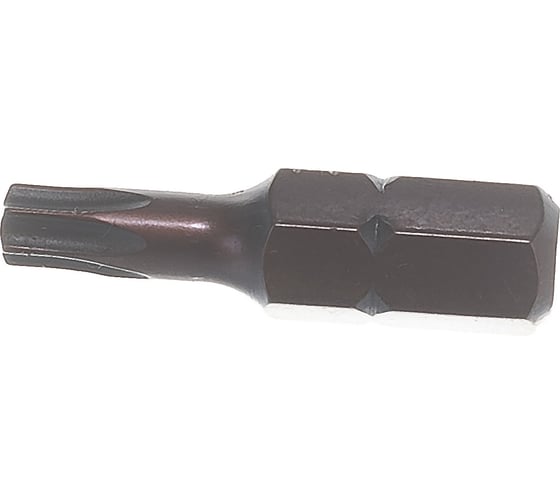 Бита (2 шт; 25 мм; T20; S2) Mr. Logo A025T20-2