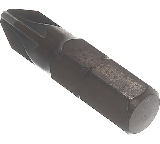 Бита (2 шт; 25 мм; PZ2; S2) Mr. Logo A025PZ2-2