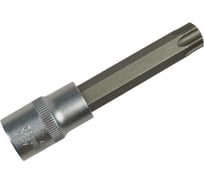 Насадка (1/2; торкс Т60) СЕРВИС КЛЮЧ 76560