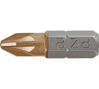 Насадки (2 шт; PZ2x25 мм) GRAPHITE 57H964