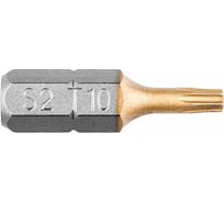 Насадки (2 шт; T10x25 мм) GRAPHITE 57H971