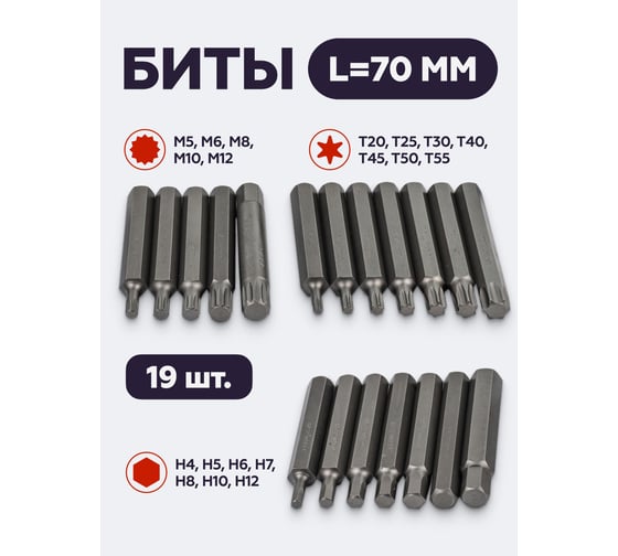 Набор бит с битодержателями 10 мм, 75/30 мм:T20-T55,H4-H12,M5-M12, 40 предметов, 12 комплектов, в пластиковом кейсе PATRON P-4401C ( 12 K-T )(58576)  P-4401C / 12 K-T /(58576)