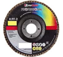 Круг лепестковый торцевой конический КЛТ2 (125х22 мм; А180; 14А 8/Р180) Luga-Abrasiv D91212522140080