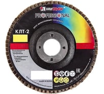 Круг лепестковый торцевой конический КЛТ2 (115х22 мм; А 24; 14А 80/Р24) ЛУГА 4603347276891