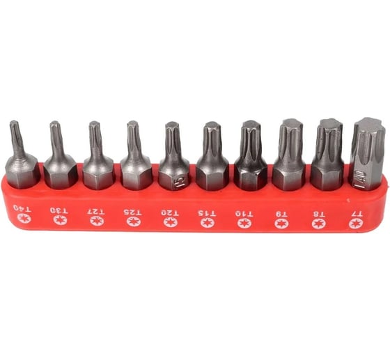 Набор вставок TORX с магнитными держателями (10 шт; 1/4"DR) ROCKFORCE RF-21022 RF-21022(1279)