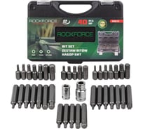 Набор бит TORX (40 шт; 10 мм, 1/2",1/4",3/8"; 75/30мм:T20-T55,H4-H12,M5-M12) Rockforce RF-4401C (7077)