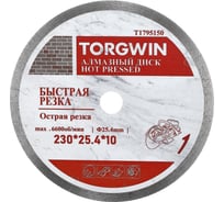Диск алмазный отрезной сплошной по керамике 230х25.4/10х1.8 мм All-over Segmented slim Professional for Ceramic Industrial TORGWIN T1795150
