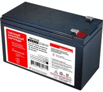 Сменный батарейный картридж для ИБП МНОГОТОКА RBCV210 серия Professional - APC: 12 В, 7,2 Ач, 1,84 кг RBCV210 Professional