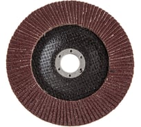 Круг лепестковый торцевой КЛТ-1 Flex SE 213-027 (150х22 мм; Р40) HAMMER 537820