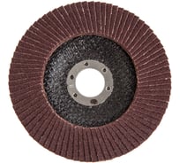 Круг лепестковый торцевой КЛТ-1 Flex SE 213-021 (125х22 мм; Р100) HAMMER 537811