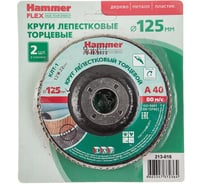 Круг лепестковый торцевой КЛТ-1 Flex 213-016 (2 шт; 125х22 мм; Р40) HAMMER 498223