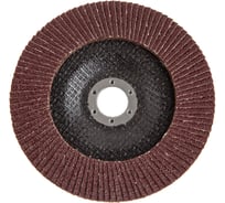 Круг лепестковый торцевой КЛТ-1 Flex SE 213-028 (150х22 мм; Р60) HAMMER 537823