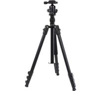 Штатив Pro 65 алюминиевый сплав с головой Raylab RLCTAL65