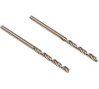 Сверло кобальтовое Flex 202-503 DR CO (2 шт; 2х49 мм; DIN338; HRC65-70) HAMMER 58993