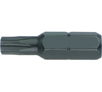Вставка (бита) торцевая 10 мм HONITON, TORX Т25 BT-A10T25 В0000000188318