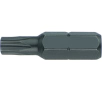 Вставка (бита) торцевая 1/4" HONITON, TORX Т40 BT-A2T40 В0000000170590