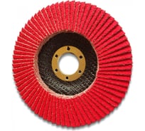 Круг лепестковый торцевой КЛТ 2 ХК (125х22 мм, Р80) VSM 004847