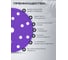 Диск абразивный AMETHYST керамика, 150 мм, 15 отверстий, P60, 50 шт VOLCA 74150150060 2