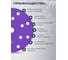 Диск абразивный AMETHYST керамика, 150 мм, 15 отверстий, P80, 50 шт VOLCA 74150150080 2