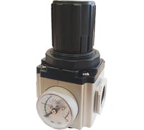 Регулятор давления 1/2F SHPI GAR300-15-SG
