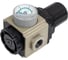 Регулятор давления 1/4F SHPI GAR200-08-SG 2