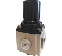 Регулятор давления 1F SHPI GAR600-25-SG