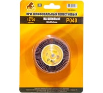 Круг шлифовальный лепестковый на шпильке (60х20х6 мм; P40) Русский Мастер РМ-53265