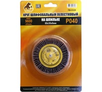 Круг шлифовальный лепестковый на шпильке (80х30х6 мм; P40) Русский Мастер РМ-53326