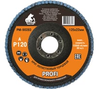 Круг лепестковый торцевой по металлу PROFI (125х22 мм; Р120; циркониевый корунд) Русский Мастер РМ-90283