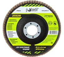 Круг лепестковый торцевой (125х22.2 мм; Р60) Pobedit 2050206