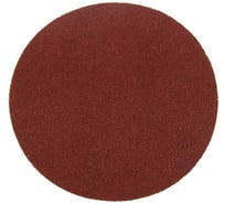 Круг абразивный шлифовальный под липучку (10 шт; 125 мм; Р36) TUNDRA 1865792