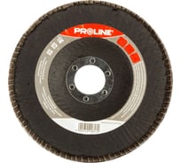 Круг абразивный лепестковый (115х22 мм; 60P) PROLINE 44802