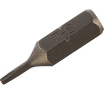 Насадка магнитная для больших нагрузок (2 шт; 25 мм; T6) Jettools W4-11-02506-2