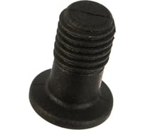 Зажимной винт Bosch 1613490007