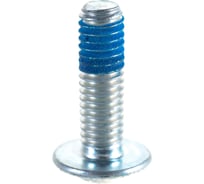 Винт с головкой torx Bosch 1613490010