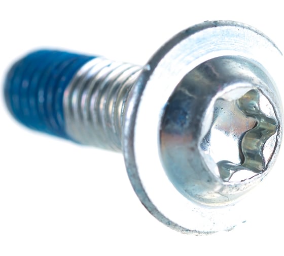 Винт с головкой torx Bosch 1613490010