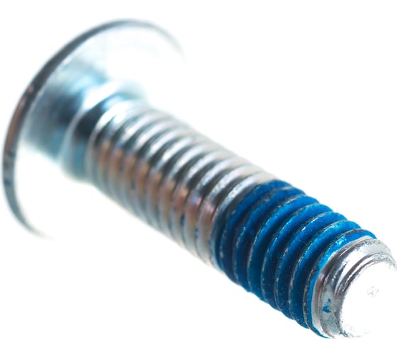 Винт с головкой torx Bosch 1613490010