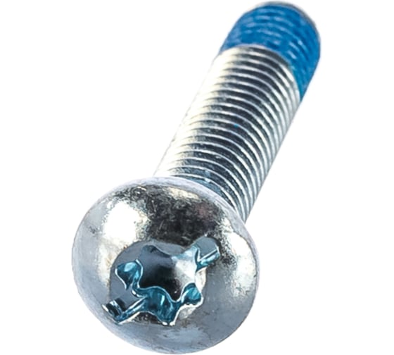 Винт с головкой torx Bosch 1613490029