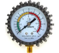 Манометр для пистолета накачки, резьба М10х1 TopAuto 14410