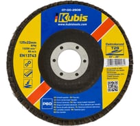 Круг лепестковый торцевой конический Т29 Р60, 125х22 мм KUBIS 07-00-2906