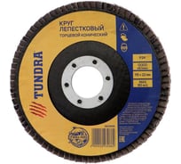 Круг лепестковый торцевой конический (115х22 мм; Р24) TUNDRA 2603086