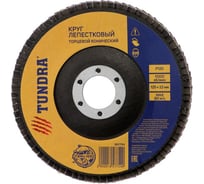 Круг лепестковый торцевой конический (125х22 мм; Р120) TUNDRA 1857754