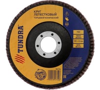 Круг лепестковый торцевой конический (125х22 мм; Р80) TUNDRA 1857752