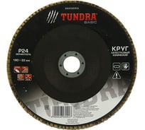 Круг лепестковый торцевой конический (180х22 мм; Р24) TUNDRA 2603092