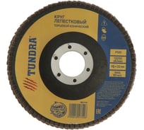 Круг лепестковый торцевой конический (115х22 мм; Р120) ТУНДРА 1857749